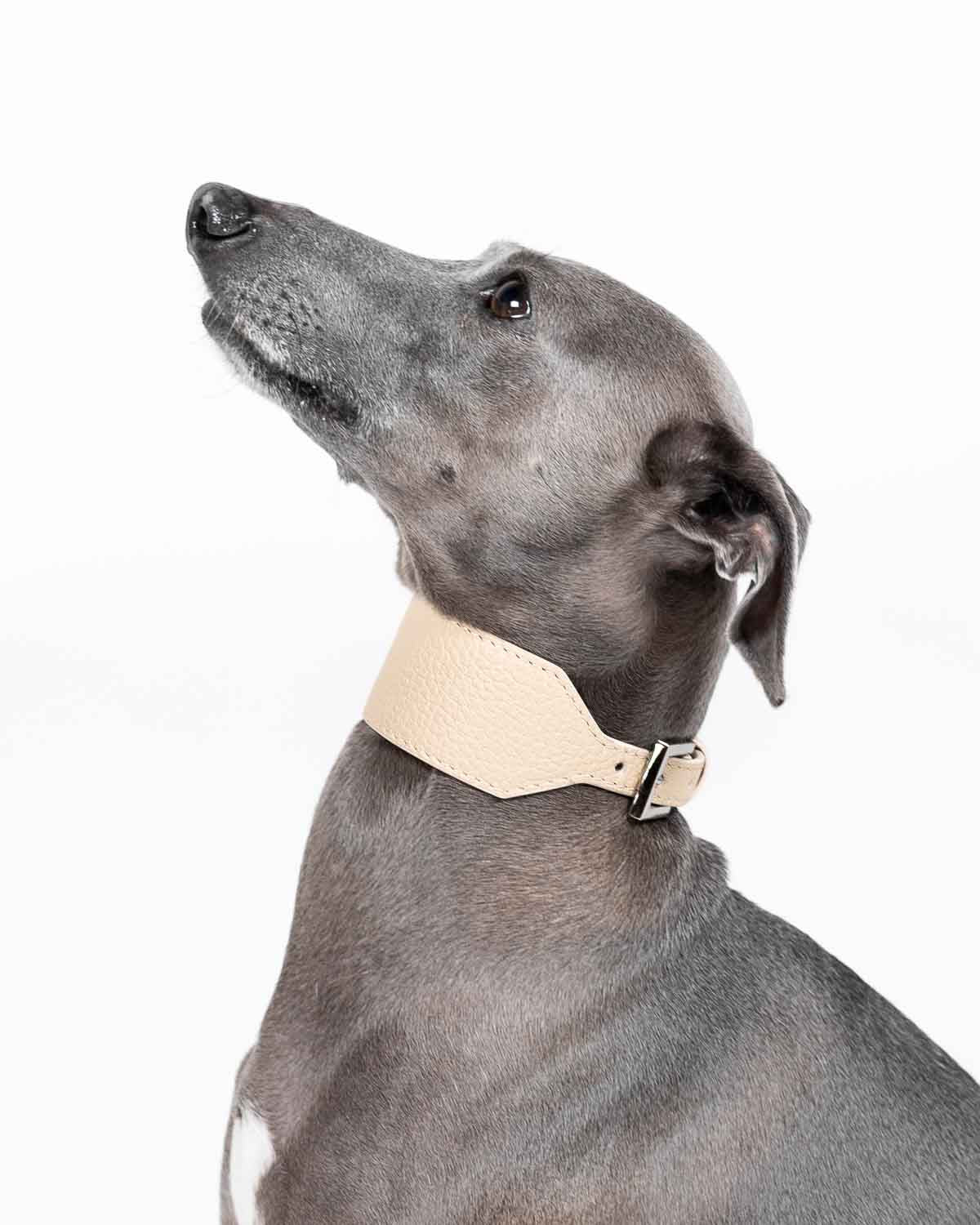 AURA | Grain Leather Hound Collar